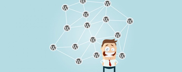 Wordpress Multisite